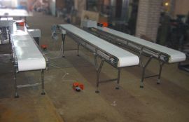 Ленточные горизонтальные конвейеры для фармацевтической компании - фото 2