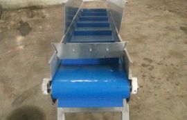 Ленточный наклонный конвейер для овощей - фото 3