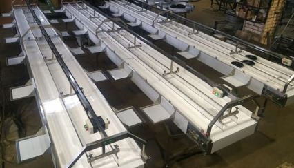 Ленточные конвейеры для перемещения и наполнения лотков с едой